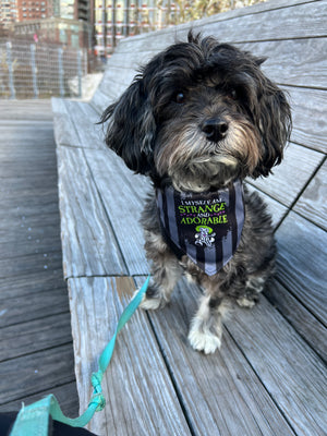 
                  
                    Strange and Adorable Bandana
                  
                