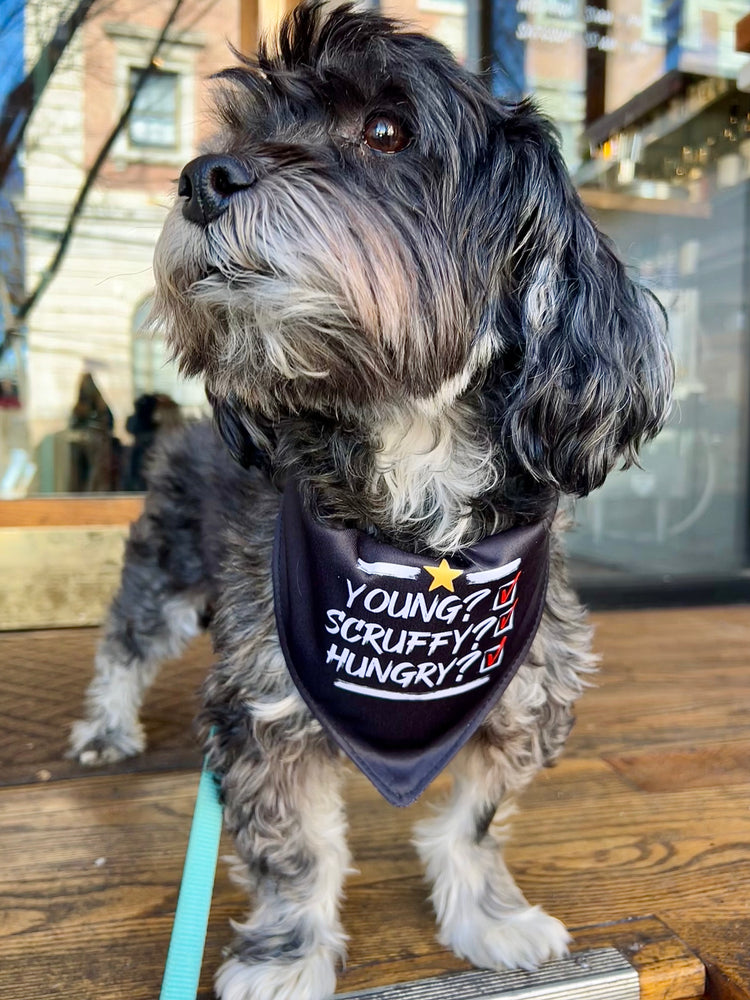 
                  
                    Young Scruffy Hungry Bandana
                  
                
