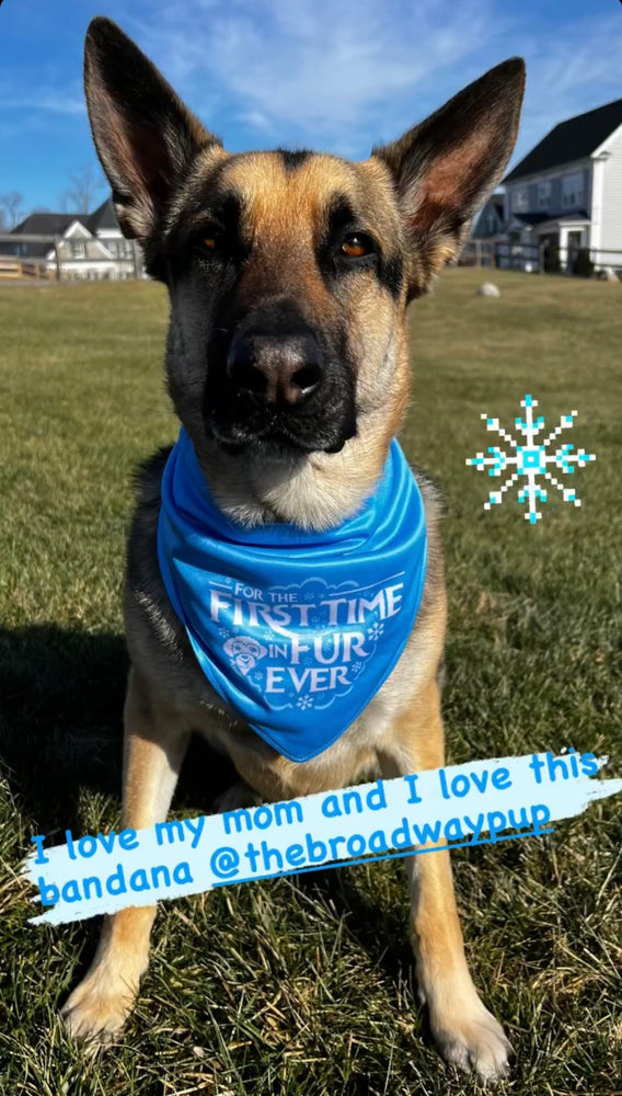 
                  
                    For the First Time in Fur-ever Bandana
                  
                