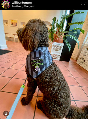 
                  
                    Strange and Adorable Bandana
                  
                
